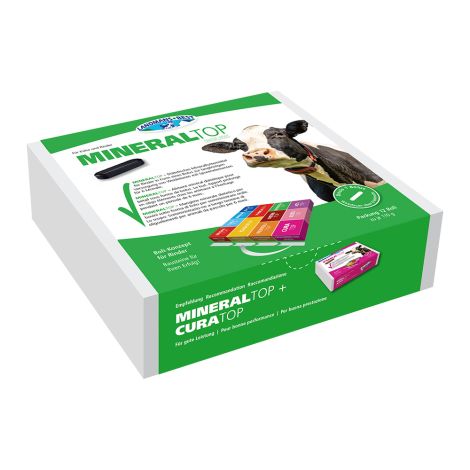 MINERALTOP Spurenelemente Bolus