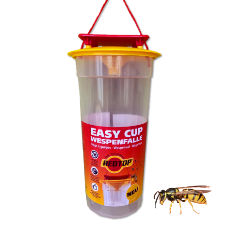 REDTOP® EASY CUP Monitoring Wespenfalle
