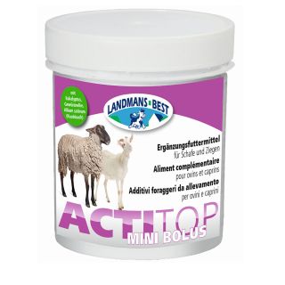 Actitop Mini Bolus